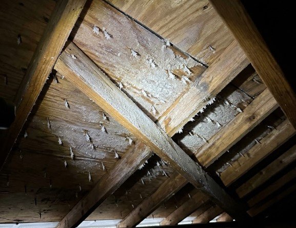 Frost crystals covering roofing nail tips and coating the underside of the plywood roof decking and rafters inside a cold attic.